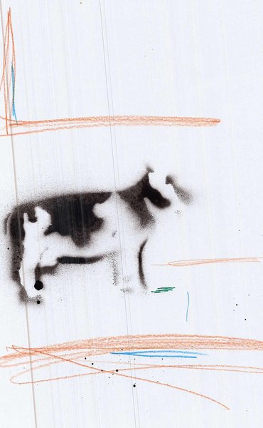 cow
