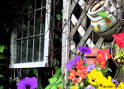 THE COMING OF SPRING