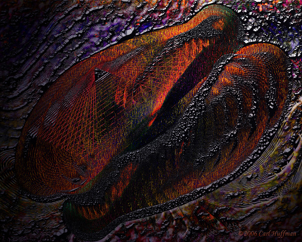 Prints in the Light