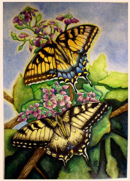 Summer Courtship