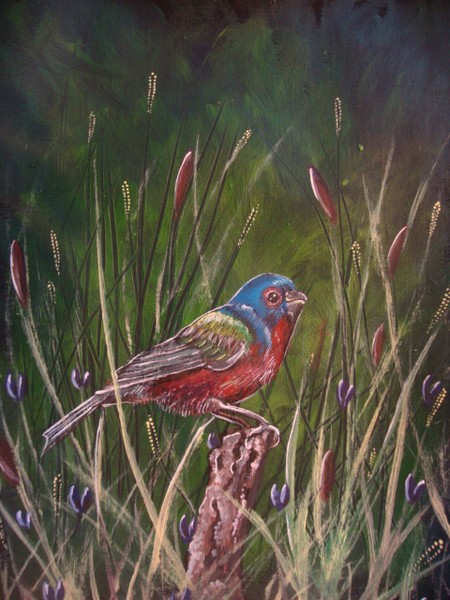 In the meadow