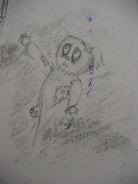 ragdoll