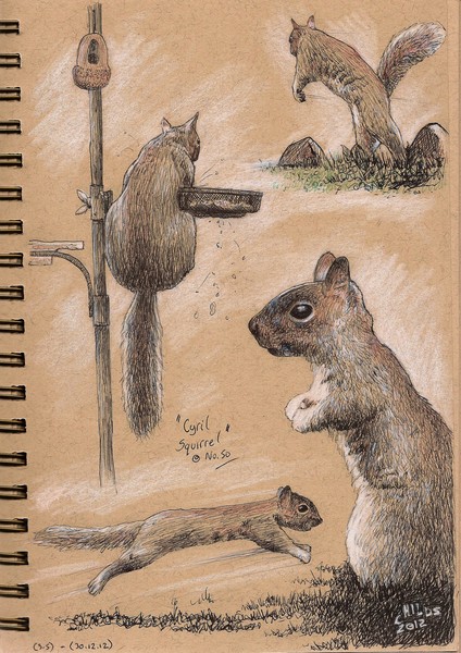 Cyril the Squirrel