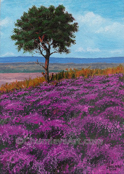 Moors Heather