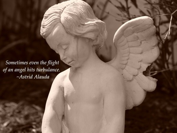 Flight Of An Angel