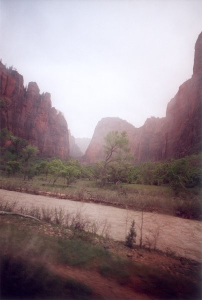 Zion Mists