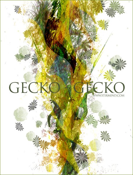 Gecko