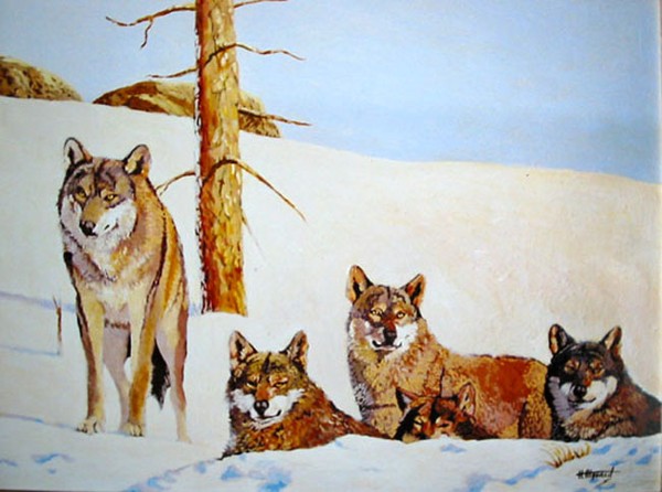 Wolves