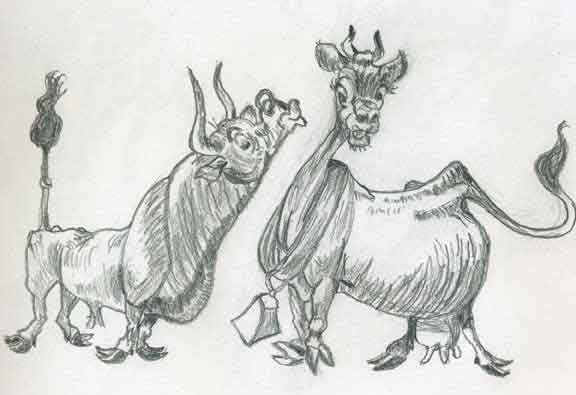 Flirty Cows
