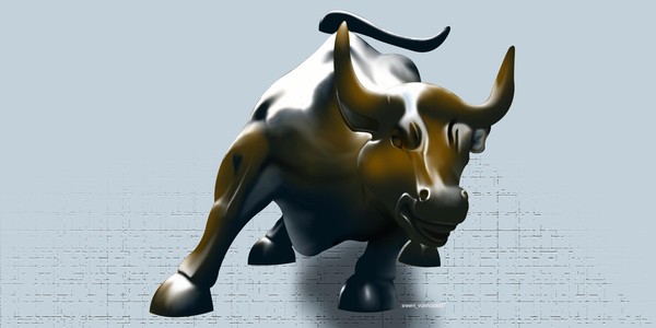 bull