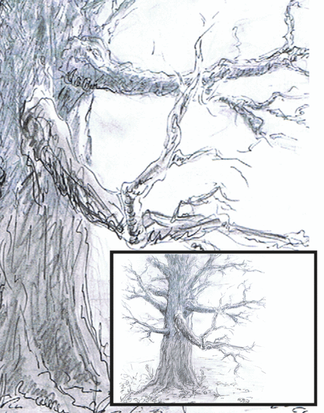 tree to remember(finished sketch)