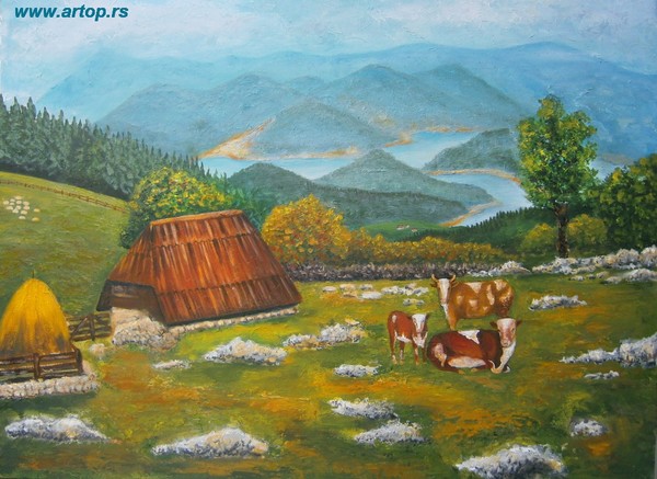 Tara-Zaovine