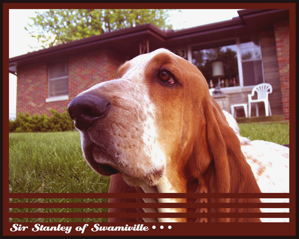 Sir Stanley