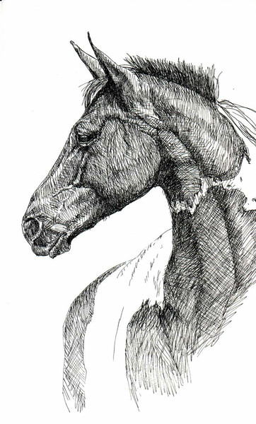 Horse Paint
