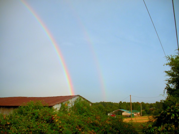 Double Rainbow