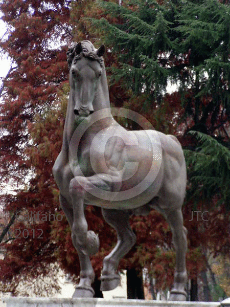 DaVinci's Horse
