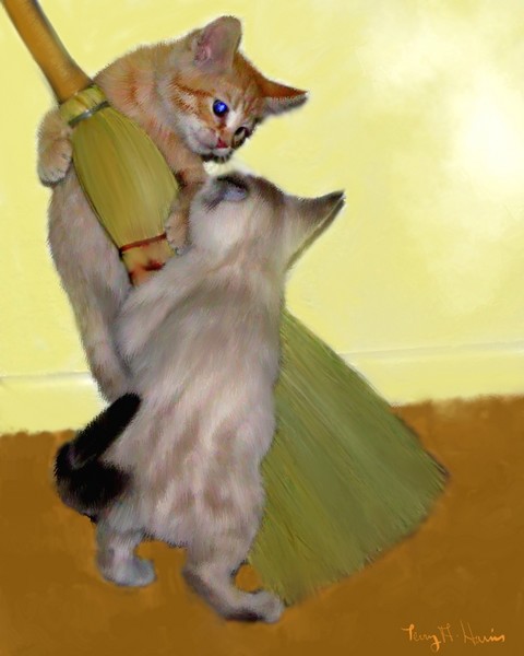 Two kittens playing with a broom
