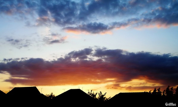 SUBURBAN SUNSET