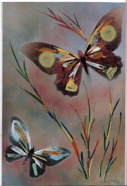 butterflies