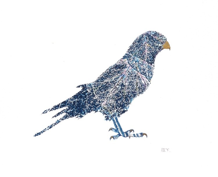 Kestrel