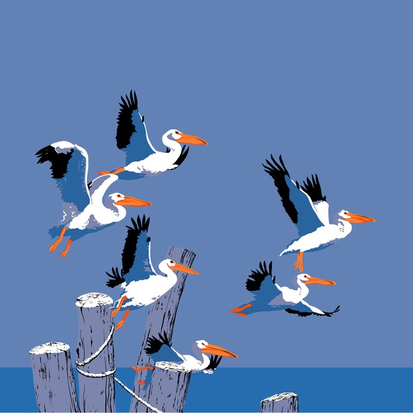 Pelicans Tropical Seascape - Square Format Art