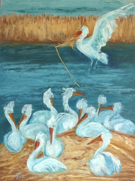 Mother Pelican