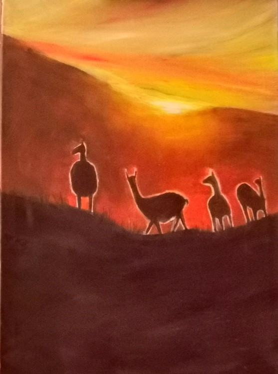 atardecer en la puna