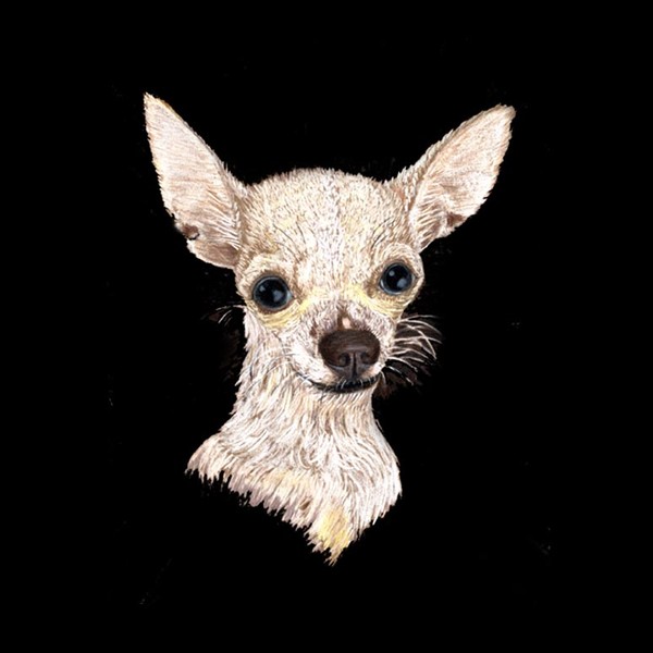 Chiuhuahua