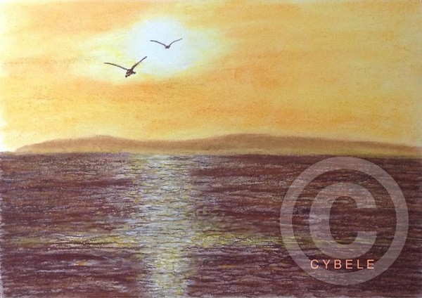 Sunset and seagulls