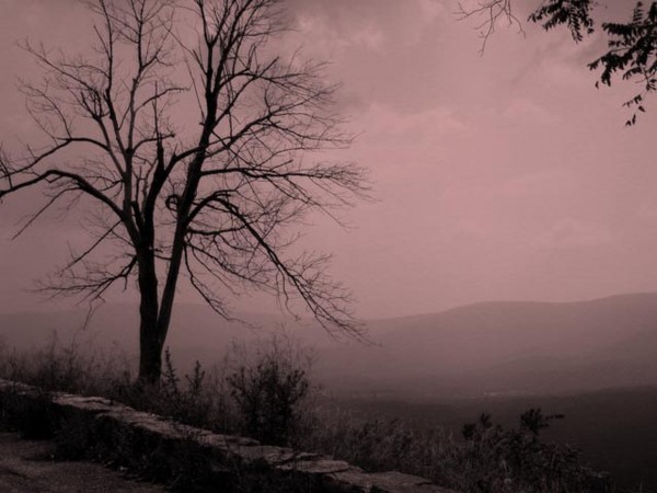 Eastern Trail