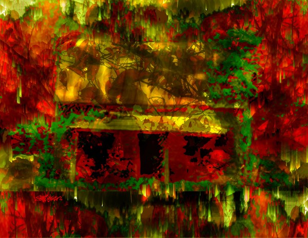 Looking Through Leaves