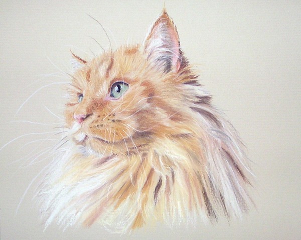 Bilbo