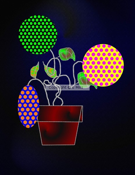 my flowers