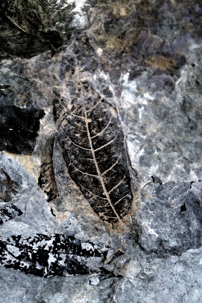 Forged in Stone