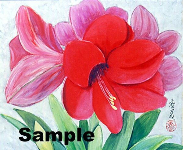 Amaryllis