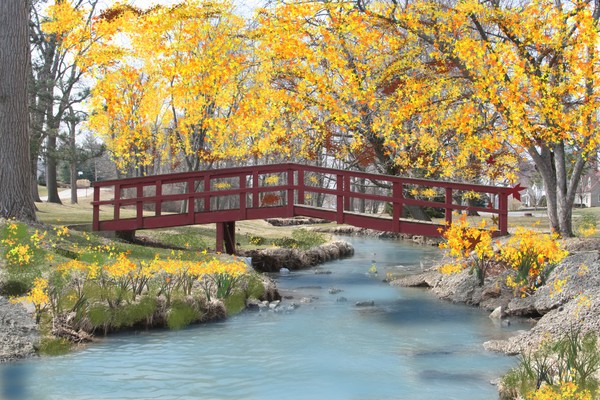 Autumn