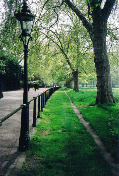 In The Park