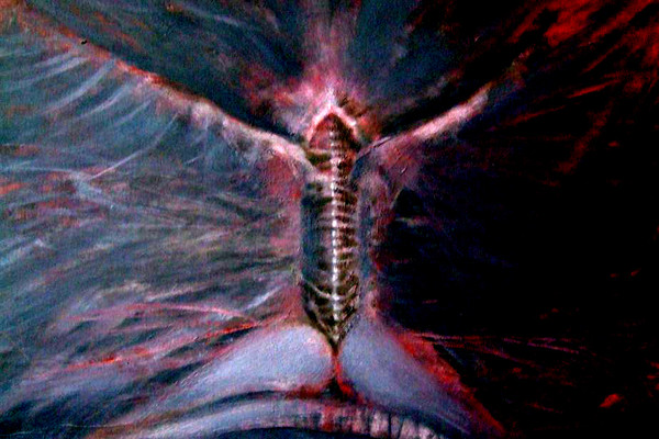 birth