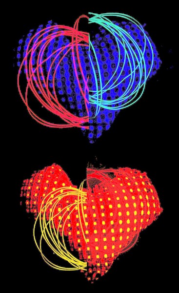 Whimsical Hearts