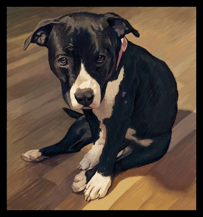 Puppy Dog Eyes