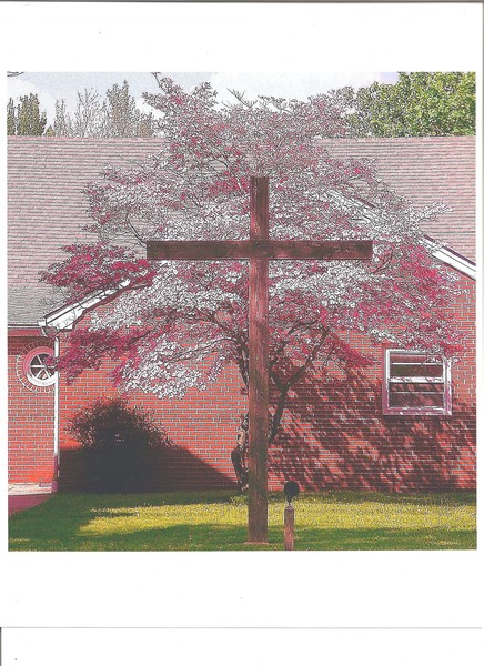 The Crusifix Tree.