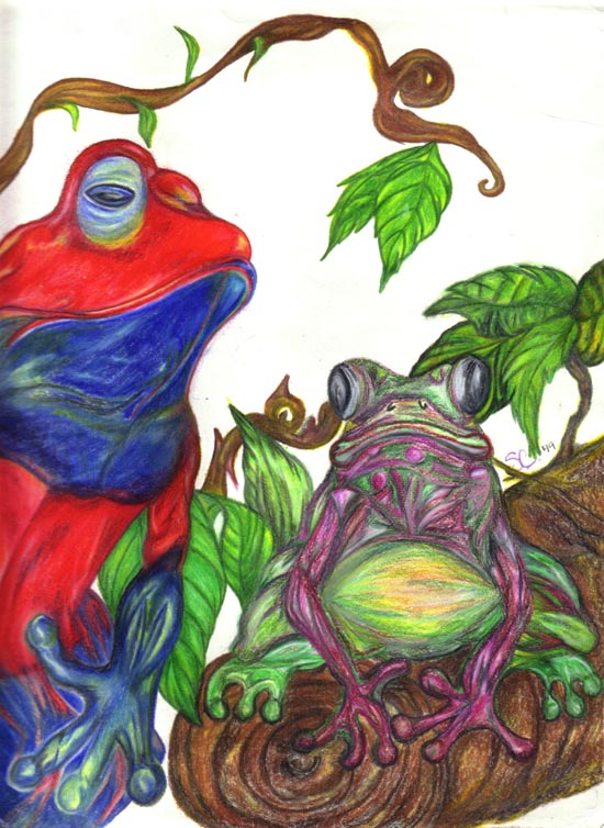 Funky Frogs