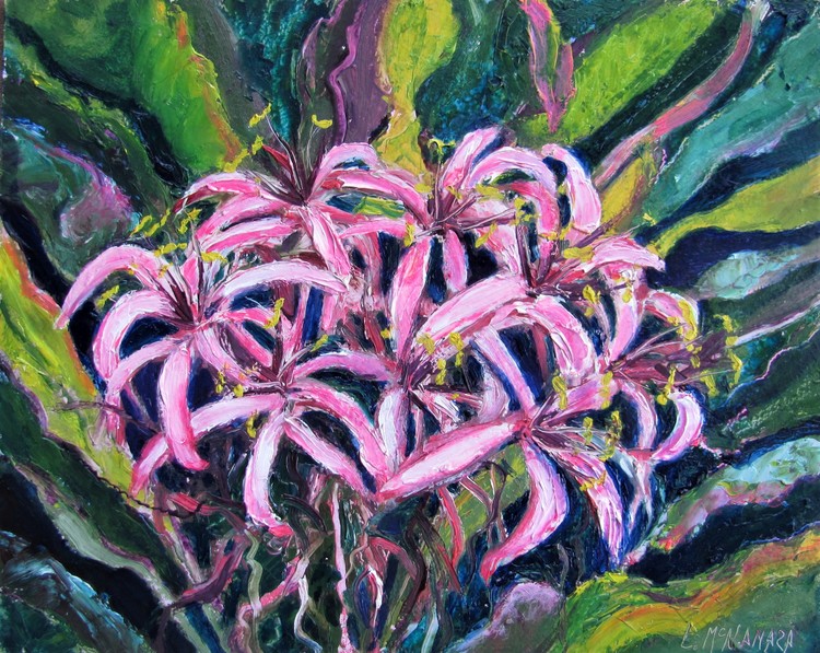 1748 Crinum Lilies