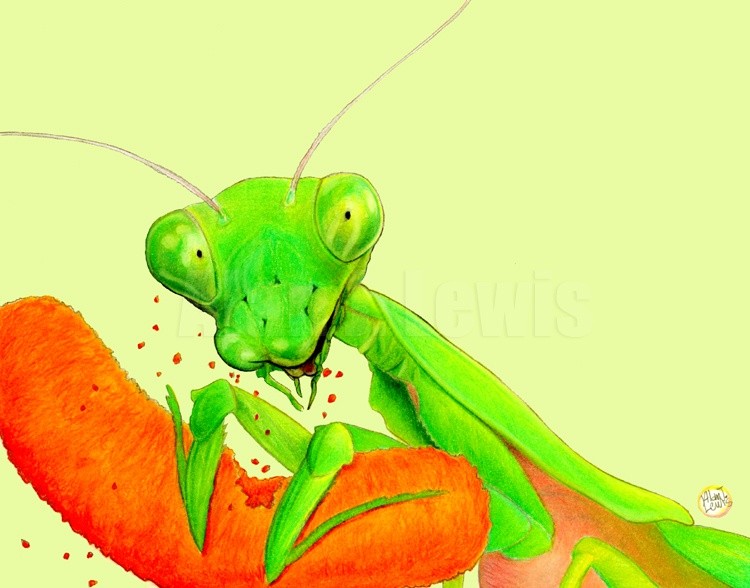 Cheese Snack Mantis