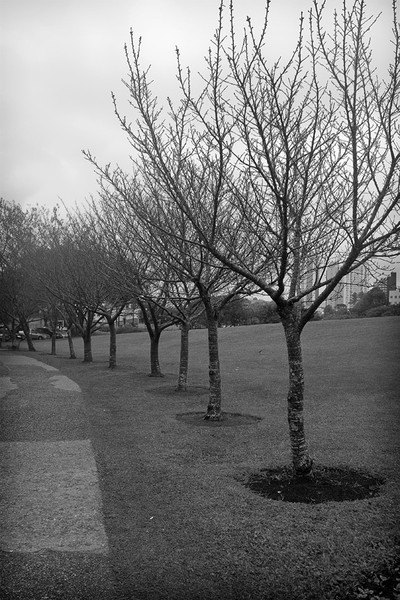 Curitiba