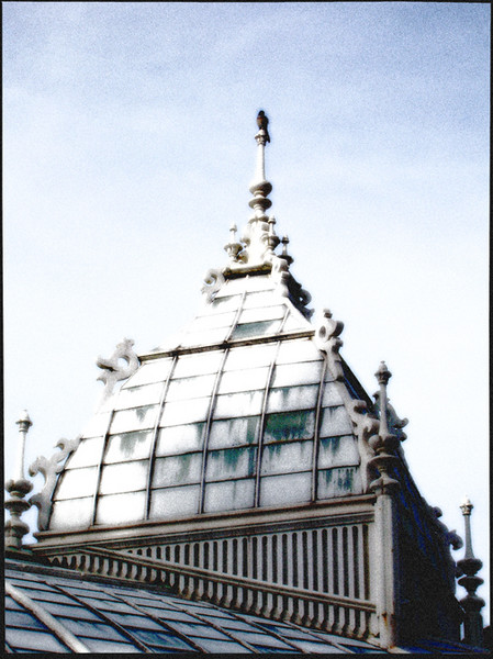 The Bird House