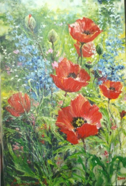 Poppies