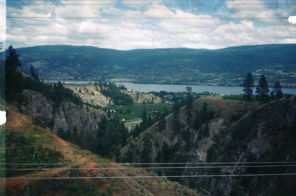 orchards