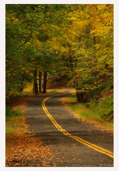 Road home