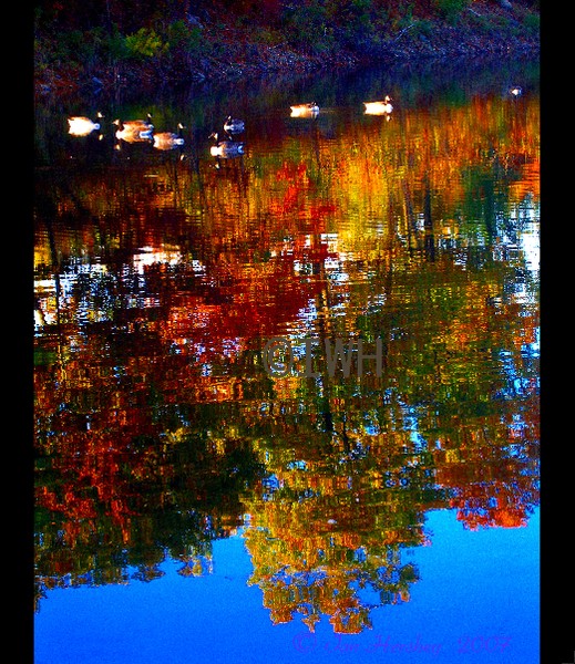 Tranquil